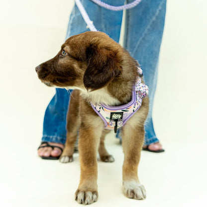 lilac-dog-harness-puppy-bundle