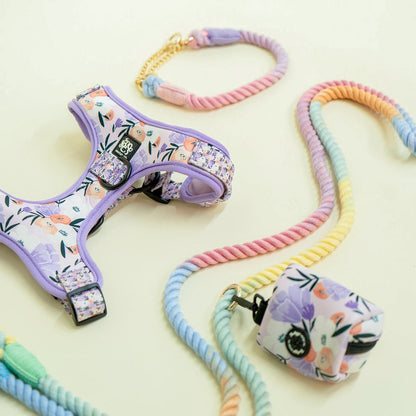 pastels-dog-harness-rope-leash