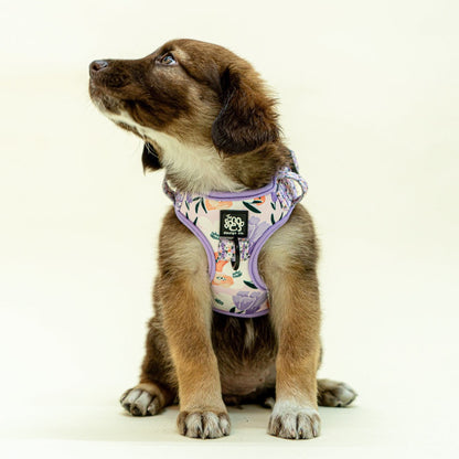 dog-adjustable-harness-purple-lilac-floral