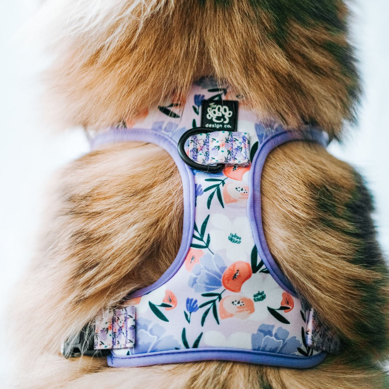 I'm blossom - Adjustable Harness - The Doggo Design Co