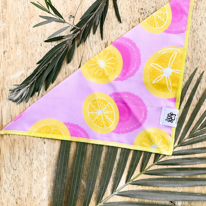 Pink Lemonade bandana - The Doggo Design Co