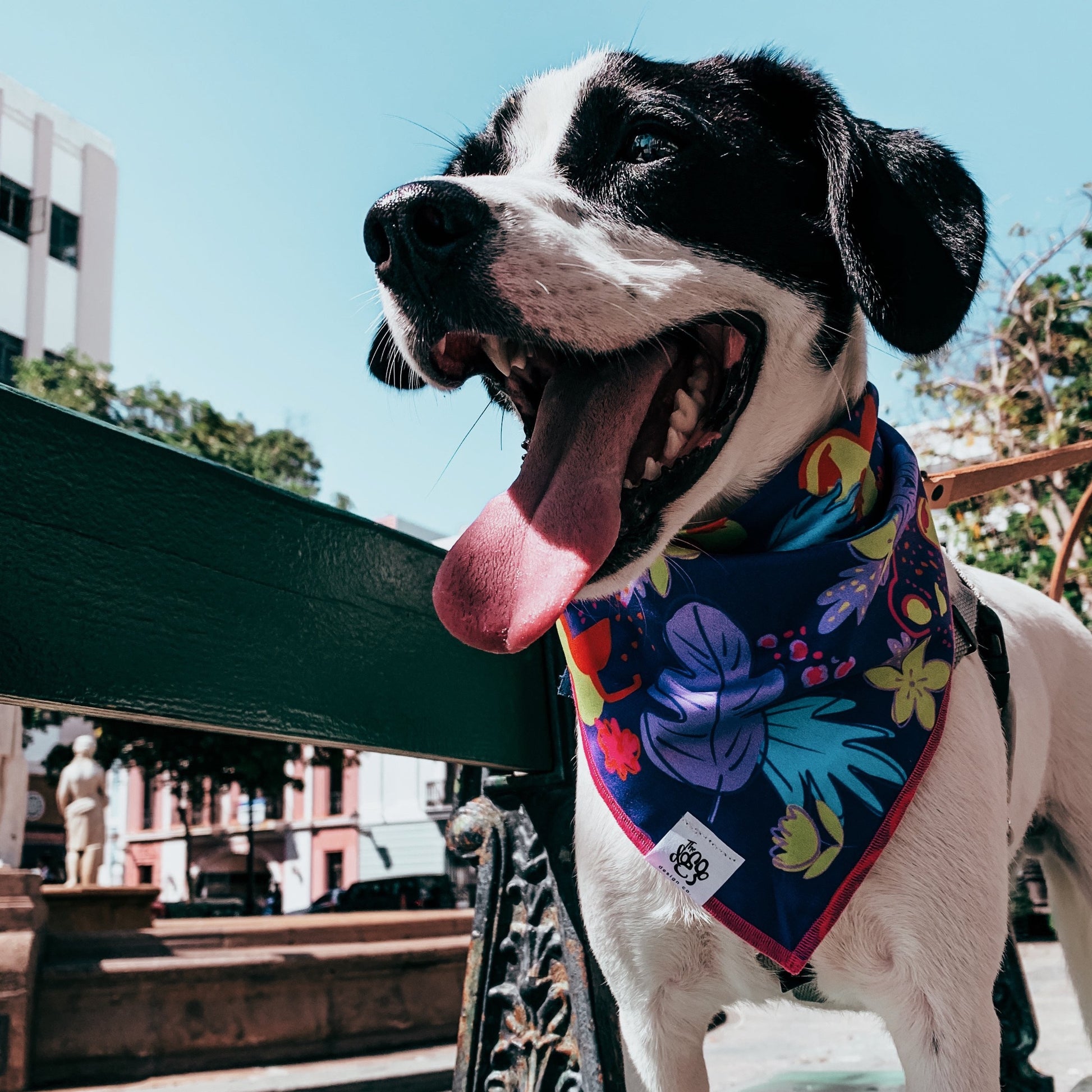 Sassy Safari bandana - The Doggo Design Co