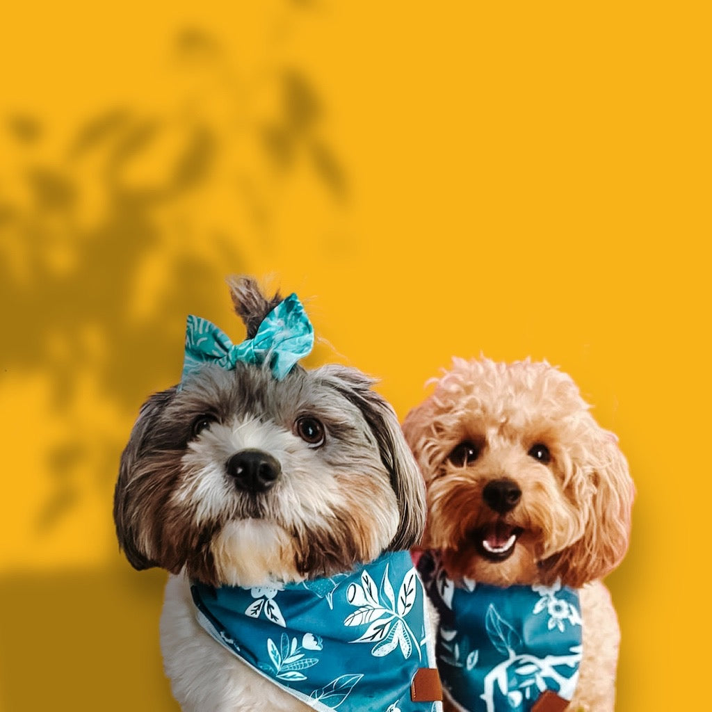 Small Dogs wearing blue floral bandana by The Doggo