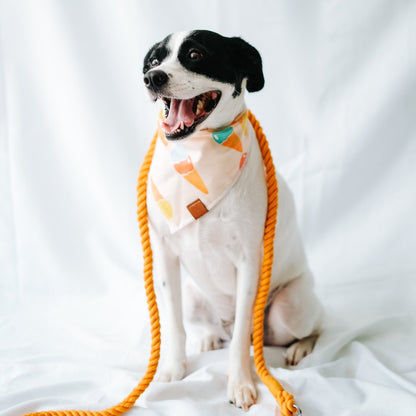 Honey - Rope Leash - The Doggo Design Co