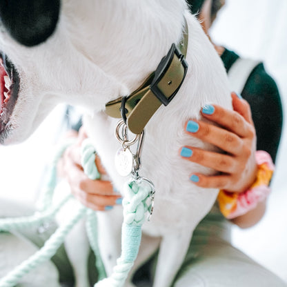 Mojito - Rope Leash - The Doggo Design Co