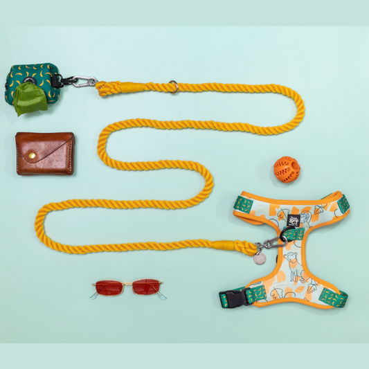 Dog Walking Set | Monkey Dog Harness | Bananas Pio Bag Holder