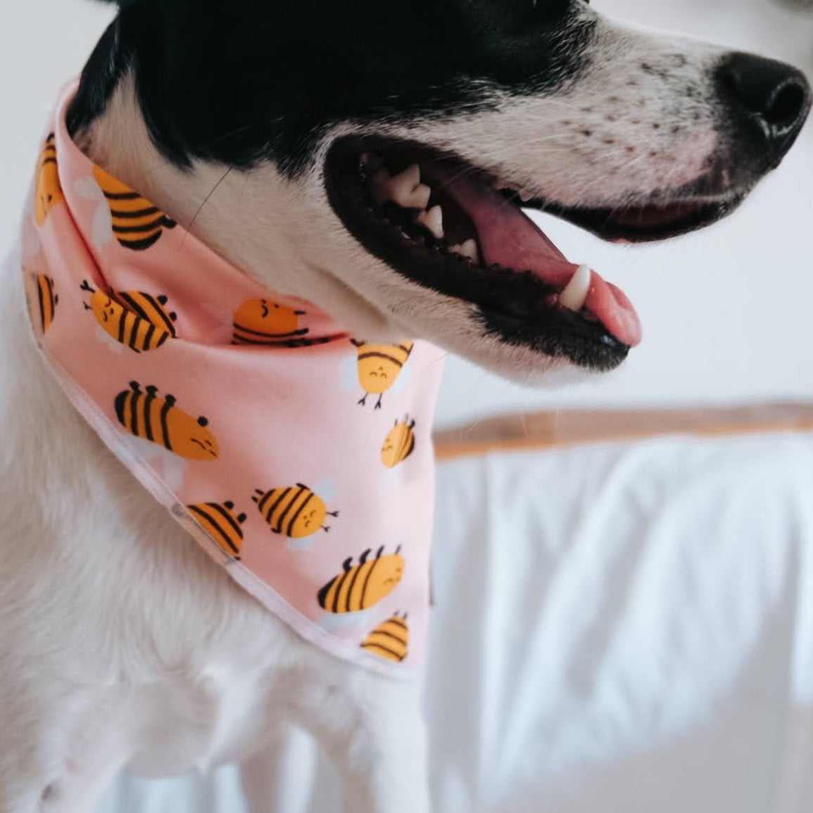 Pink Dog Bandanas | Bees | Aesthetic Doggo | The Doggo