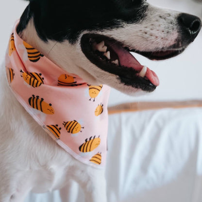 Pink Dog Bandanas | Bees | Aesthetic Doggo | The Doggo