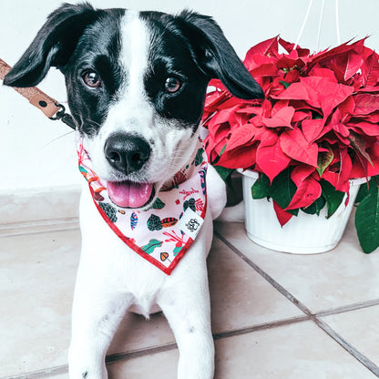 Bandana on Dog | Sloths Dog Bandanas | Aesthetic Doggo | by The Doggo