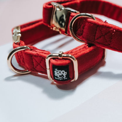 Red Velvet | Velvet Collar - The Doggo Design Co