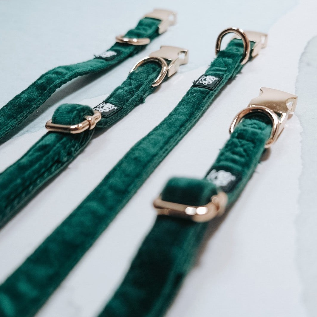 Emerald City | Velvet Collar - The Doggo Design Co