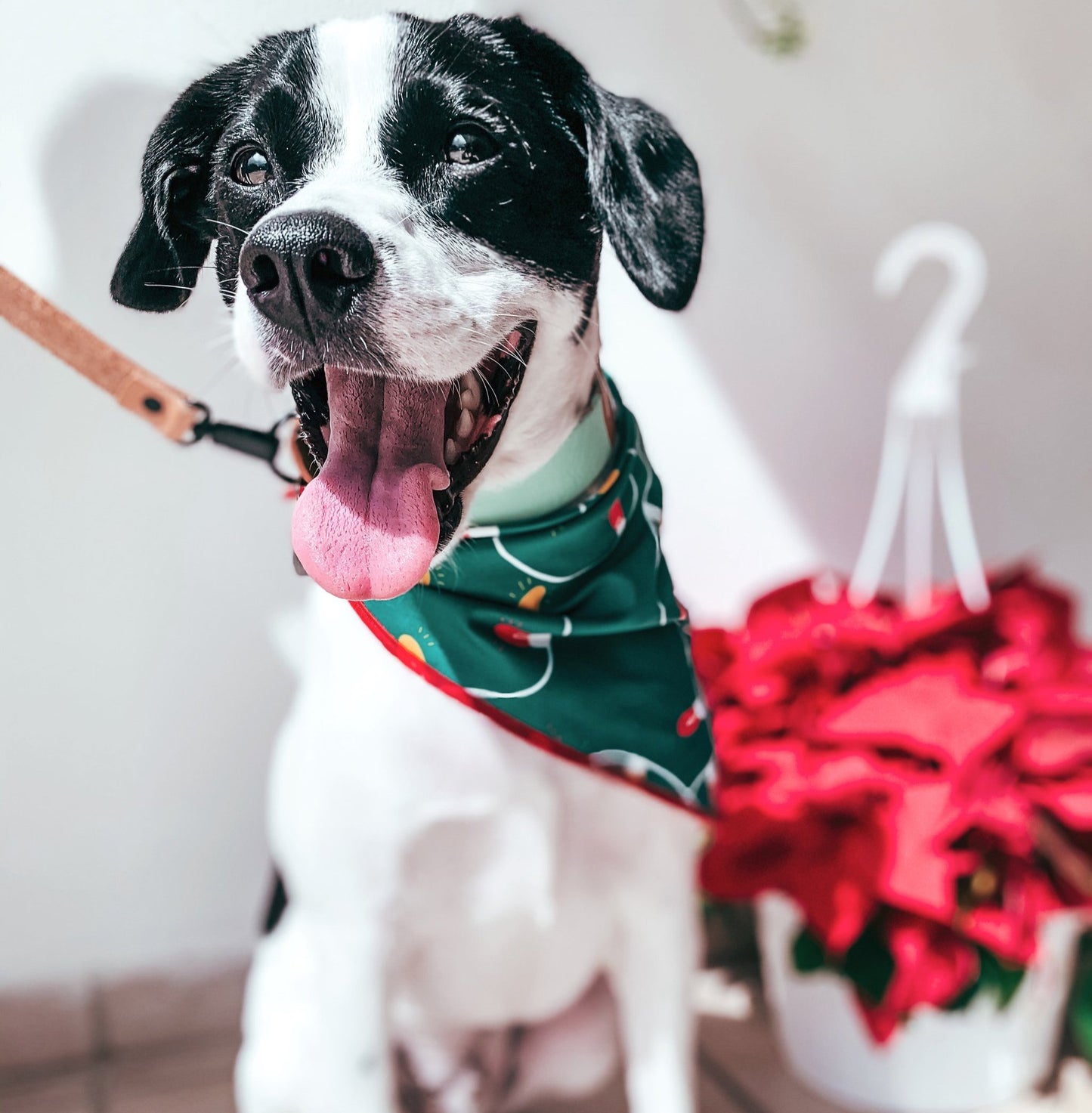 Festive Lights bandana - The Doggo Design Co