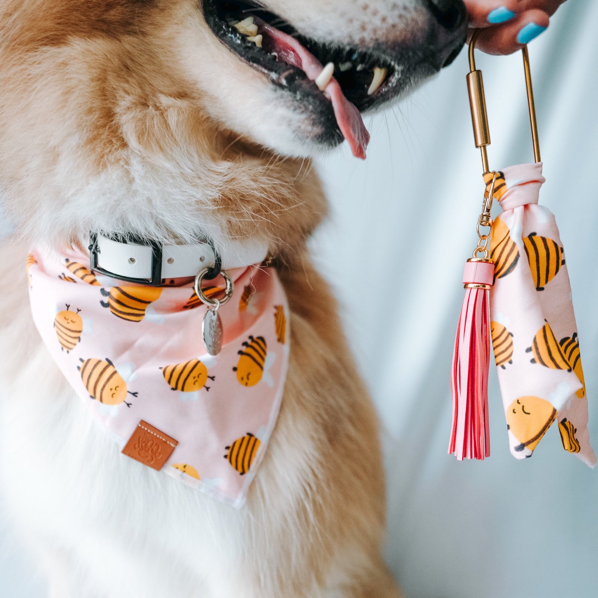 Dog Bandanas | Save The Bees | Aesthetic Doggo | The Doggo